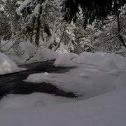 Nature Sounds Зимний Лес И Река В Канаде Winter Forest And River