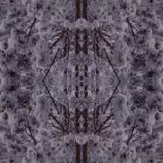 Stay True Original Mix Akacia Darwin X Mainecoon