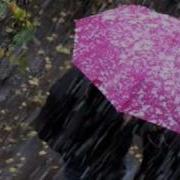 Tombe La Neige Падает Снег Nina Dilon