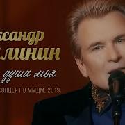 Эх Душа Моя