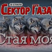 В Стиле Сектор Газа Стая