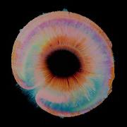 Anotr Abel Balder Relax My Eyes Frutto Remix
