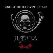 Алиса Альбом Дудка