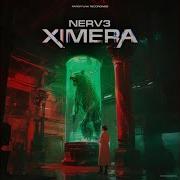 Nerv3 Netsphere