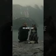 He More I Learn About People The More I Love Dogs Eight Below Music