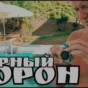 Черный Врон Ты Добычим Не Добьешься