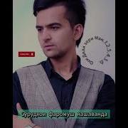 Охи Дили Зори Ман 5