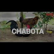 Chabota By Jemax