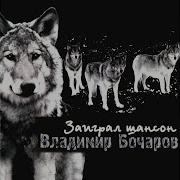 Распроклятая Тайга