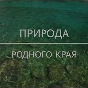 Природа Родного Края Галия Керей