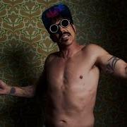 Red Hot Chilli Peppers Dark Necessities