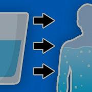 Drink 3L Water