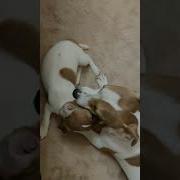 У Меня Походу Осень У Тебя Дожди