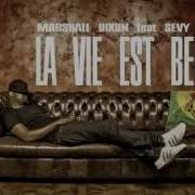 La Vie Est Belle Papa Wemba Remix French Version Par Marshall Dixon