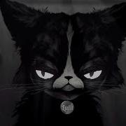 Cazzette She Wants Me Dead Cazzette Vs Aronchupa Official Video Ft The High