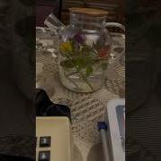 Позвонить В Скорую