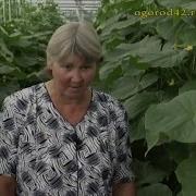 Уход И Профилактики Отв