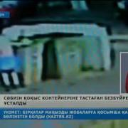 Безбүйрек Ана Баласын Қоқысқа Тастаған