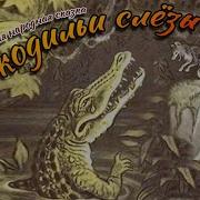 Сказка Крокодиловы Слезы