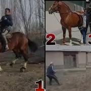 Hookat Ноокат Ноокат Учкур Отлари Топ 5 2Кисм