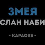 Руслан Набиев Змея Караоке