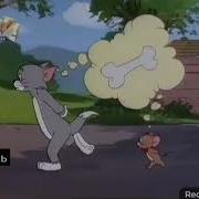 Нико 2 Шоу Тома И Джерри 1975 2012