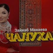 Зайнаб Махаева Новинки 2024