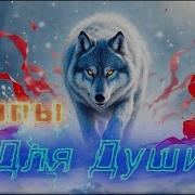 Услышиш Вой Среди Ветров Клипы Для Души Жара Топ