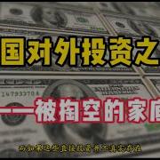 中国对外投资之谜