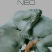 Skunk Df Neo