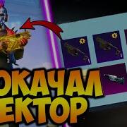 Новый Вектор К 10