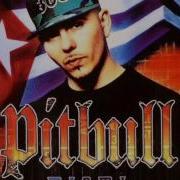 We Don T Care Bout Ya Pitbull
