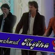 Олими Махмуд Туёна