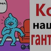 Приколы Кот Нашел Гантели