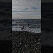 Дубов Мальчик У Моря