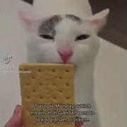 Rhnkr