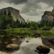 Релакс Звуки Джунглей Relax Sounds Of The Jungle