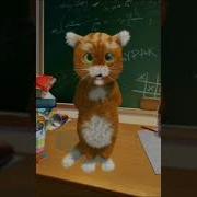 Кулясов Тимофей