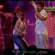 هيفاءوهبي نيك