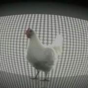 Бешеная Музыка