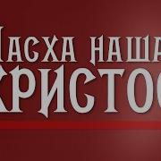 Проповедь Пасха Наша Христос Алексей Коломийцев