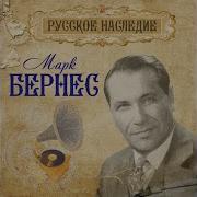 Тёмными Ночами