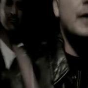 Bass Sultan Hengst