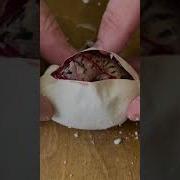 Vlog Pacar Eh Tiba Ada Uler
