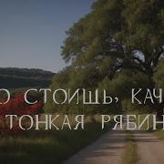 Что Стоишь Качаясь Тонкая Рябина Ai Cover