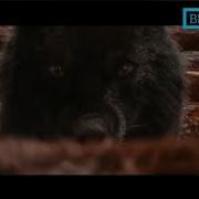 Xz Corleone Baron Old Avlod Рэпи Точики