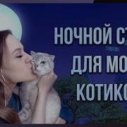 Апокалипсис Андрея Ткачева Скачать Mp4