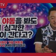 포르노 영화