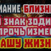 Близнец