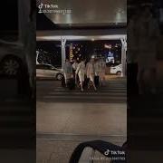 蓝天航空公司的空姐13